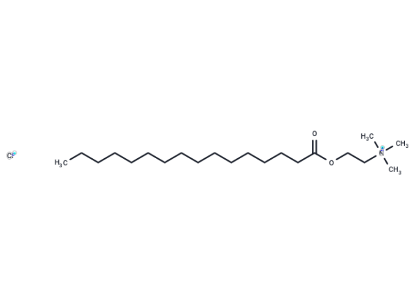 Palmitoylcholine (chloride)