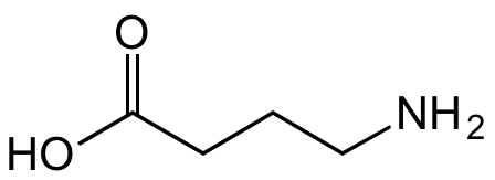 GABA [gamma-Aminobutyric acid]