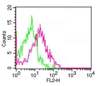 Anti-CD161 (Clone: ABM27F5)