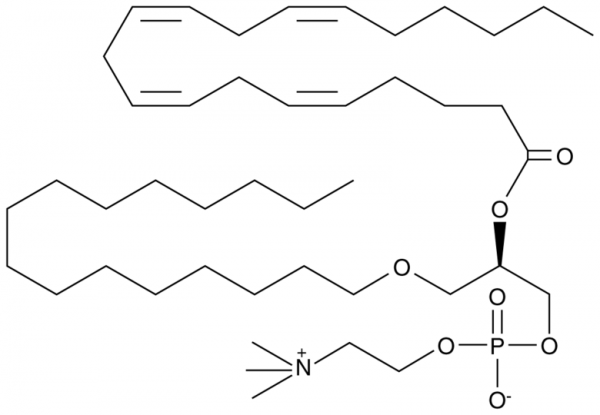 1-O-hexadecyl-2-Arachidonoyl-sn-glycero-3-PC