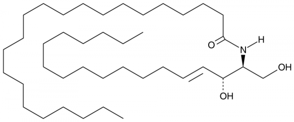 C22 Ceramide (d18:1/22:0)