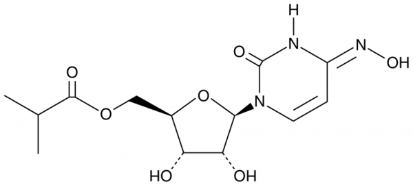 Molnupiravir