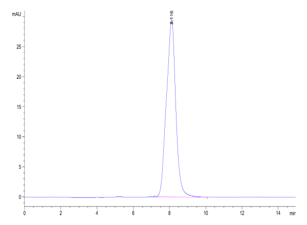 Mouse AXL Protein