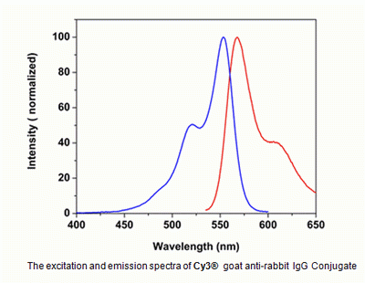 Cy3(R) goat anti-rabbit IgG (H+L)