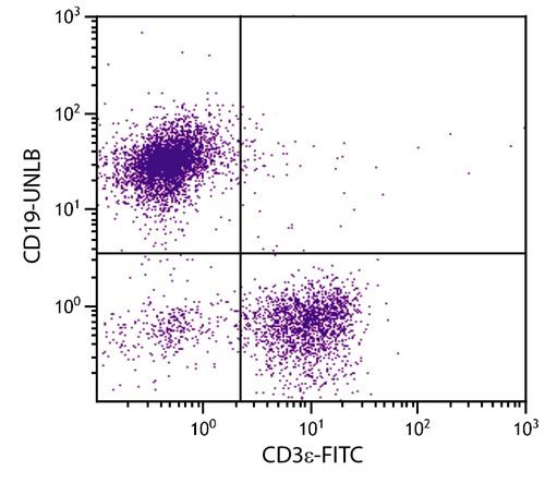 Anti-CD19, clone 6D5