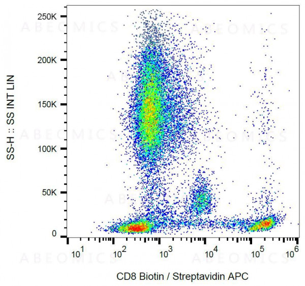 Anti-CD8 Monoclonal Antibody (Clone:MEM-31)-Biotin Conjugated