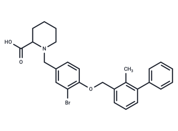 BMS-8