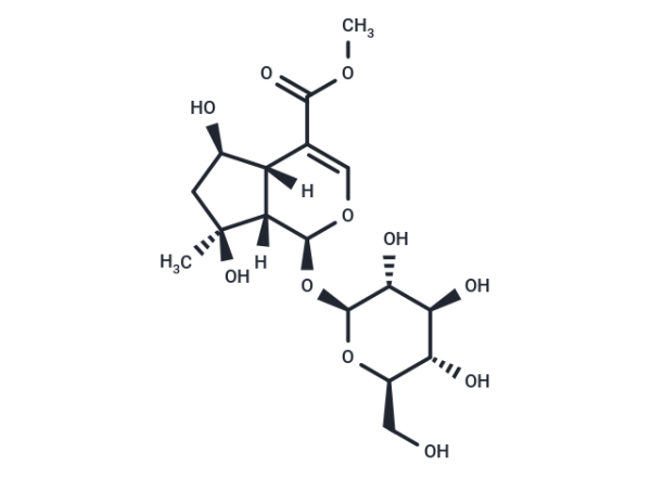 Shanzhiside methyl ester