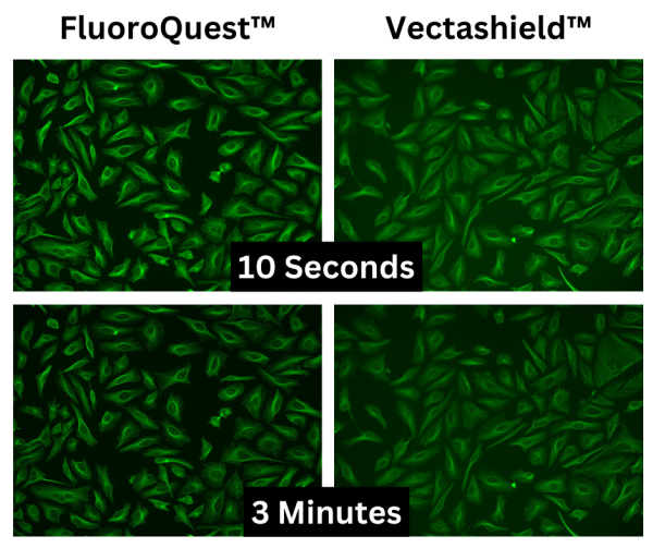 FluoroQuest(TM) TSA/PSA Antifade Mounting Medium *Optimized for Tyramide and Styramide Imaging*