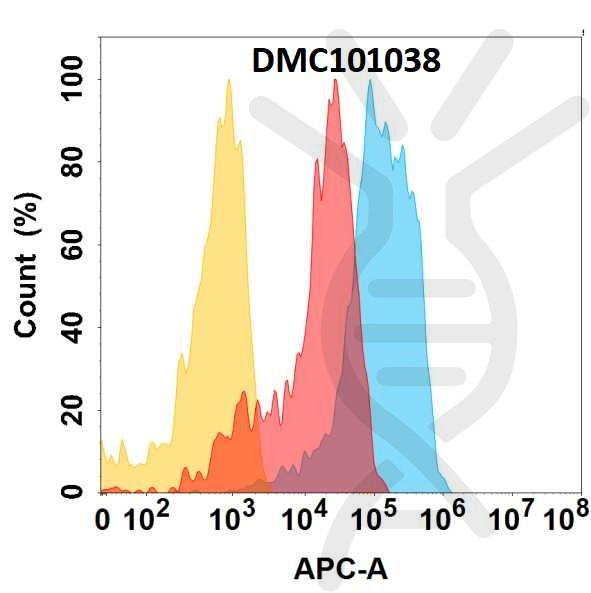 Anti-CD98 antibody(2H8), IgG1 Chimeric mAb