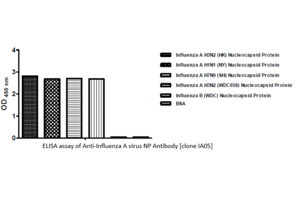 Anti-Influenza A virus NP Antibody [clone IA05]