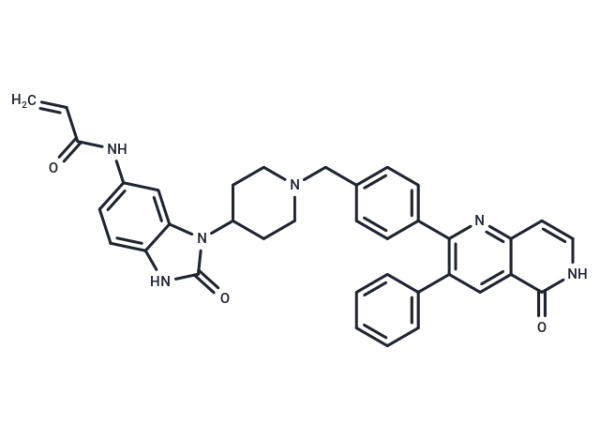 Borussertib