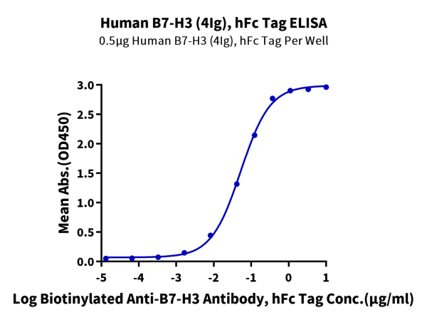 Human B7-H3 (4Ig) /B7-H3b Protein