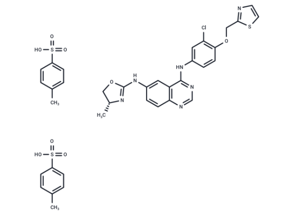 Varlitinib Tosylate