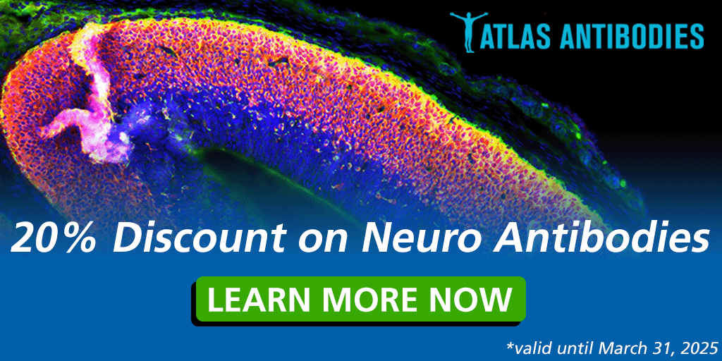 Atlas Antibodies Neuro Antibodies