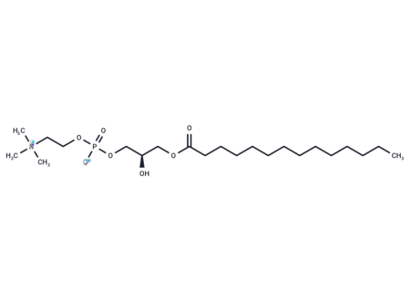 LysoPC(14:0/0:0)