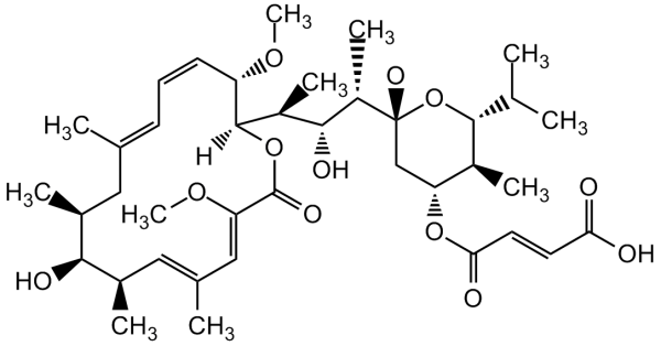 Bafilomycin C1