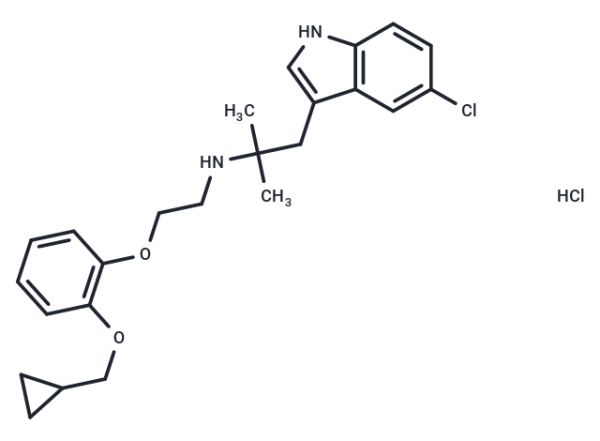 RS 17053 hydrochloride