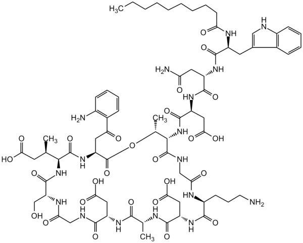 Daptomycin