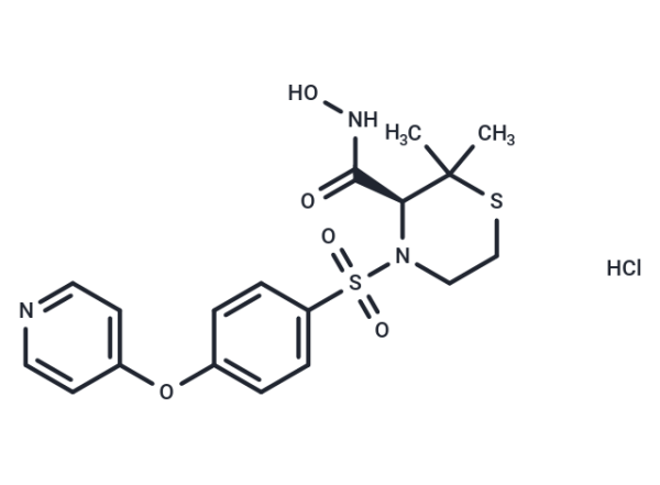 Prinomastat hydrochloride