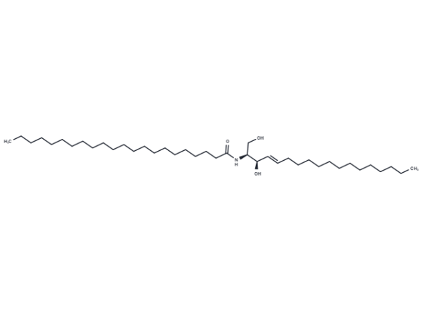 C22 Ceramide (d18:1/22:0)