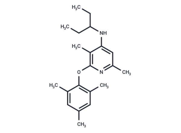 CP 376395