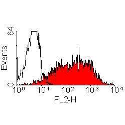 Anti-CD25 (RPE), clone OX-39