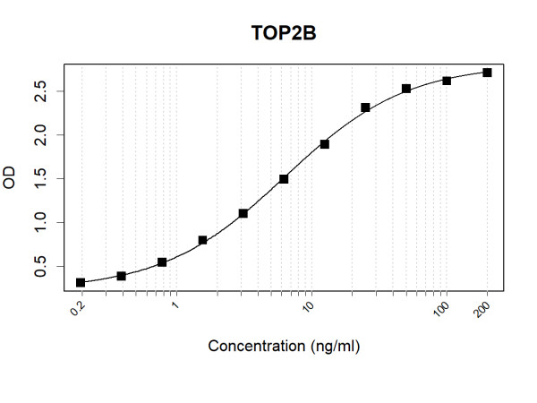 TOP2B (human) Antibody Pair