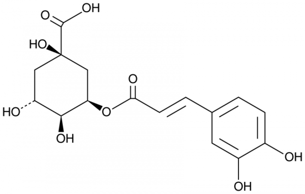 5-O-Caffeoylquinic Acid