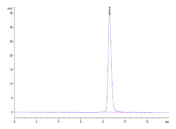 Cynomolgus B7-1/CD80 Protein