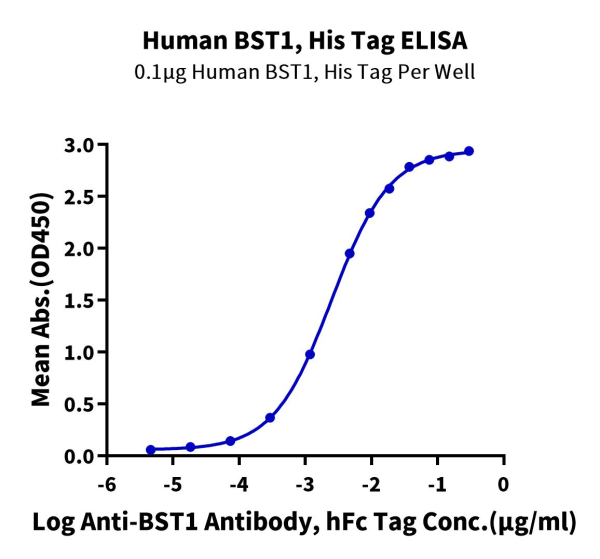 Human BST1 Protein
