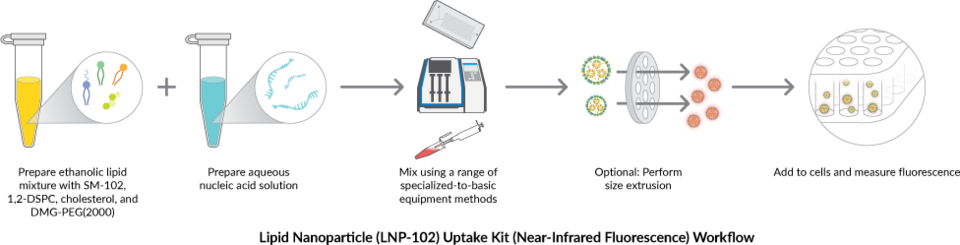 Lipid Nanoparticle (LNP-102) Uptake Kit (Near-Infrared Fluorescence ...