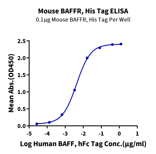 Mouse BAFFR/TNFRSF13C Protein