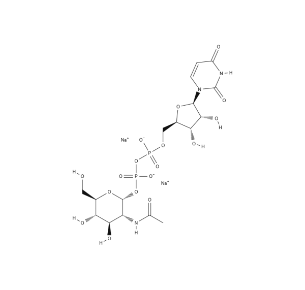 UDP-alpha-D-N-Acetylglucosamine, Disodium