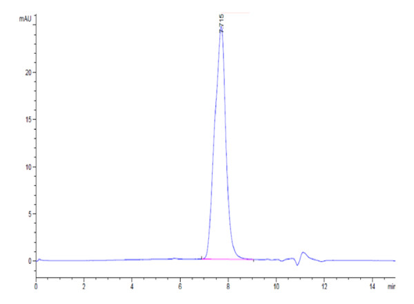 Mouse BCMA/TNFRSF17 Protein