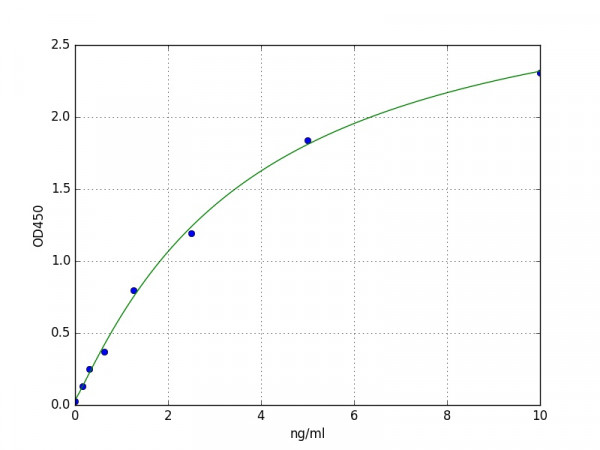 Human CCND2 / Cyclin D2 ELISA Kit