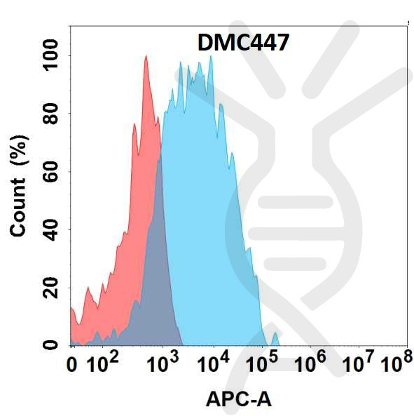Anti-CCR2 antibody(DMC447), IgG1 Chimeric mAb