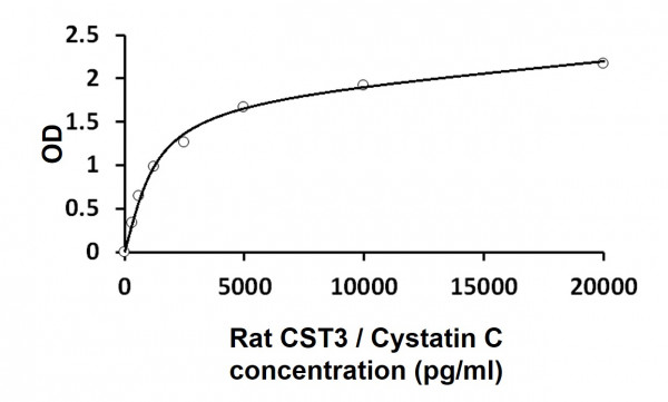 Rat CST3 / Cystatin C ELISA Kit