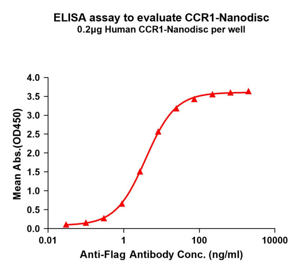 CCR1 (human) full length protein-synthetic nanodisc