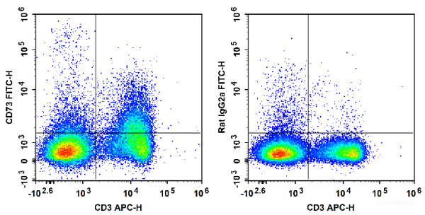 Anti-Mouse CD73 (FITC Conjugated)[TY/23], clone TY/23