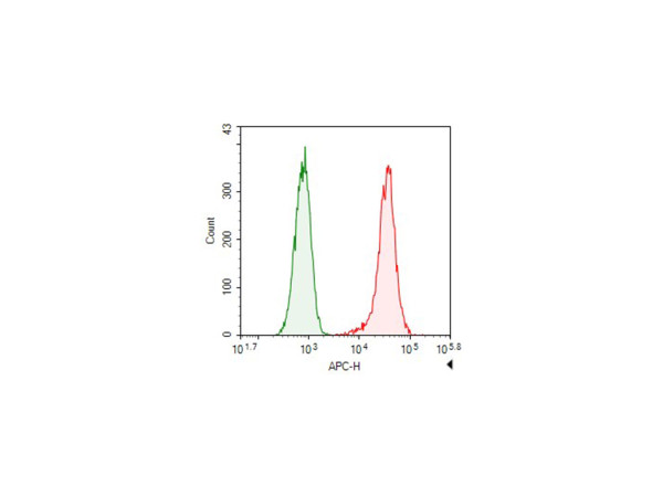 Anti-Elab Fluor(R) 647-conjugated beta Tubulin, clone 2E8-2