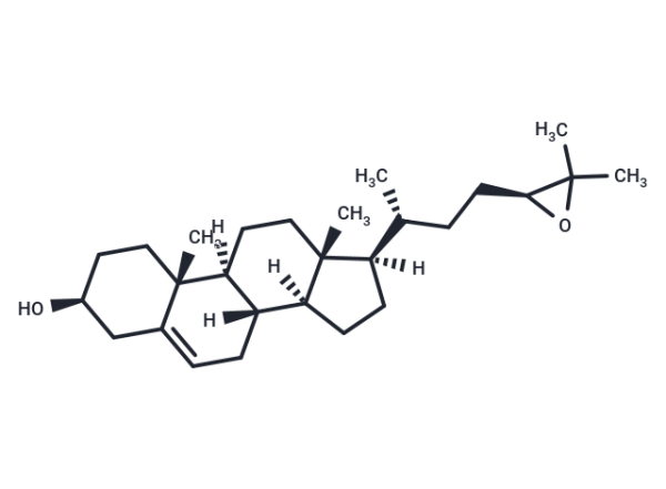 24(S),25-Epoxycholesterol