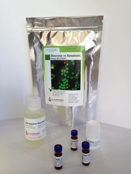 Necrosis vs Apoptosis Assay Kit