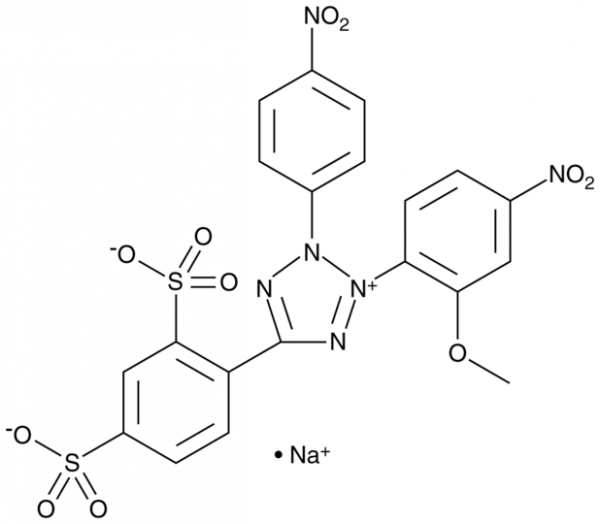 WST-8