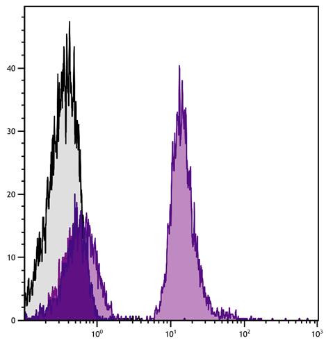 Anti-CD19 (APC/Cy7), clone MB19-1