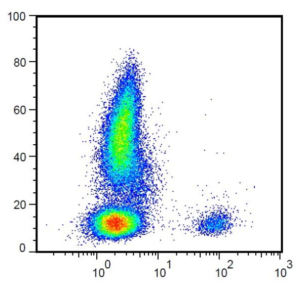 Anti-CD19 (Biotin), clone 4G7