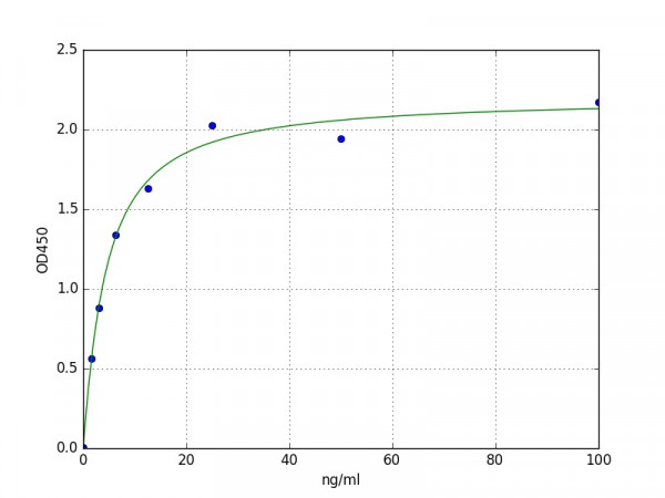 Human Fascin-2 ELISA Kit