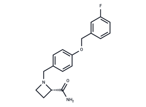 C3