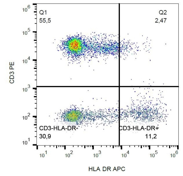 Anti-HLA-DR (APC), clone L243