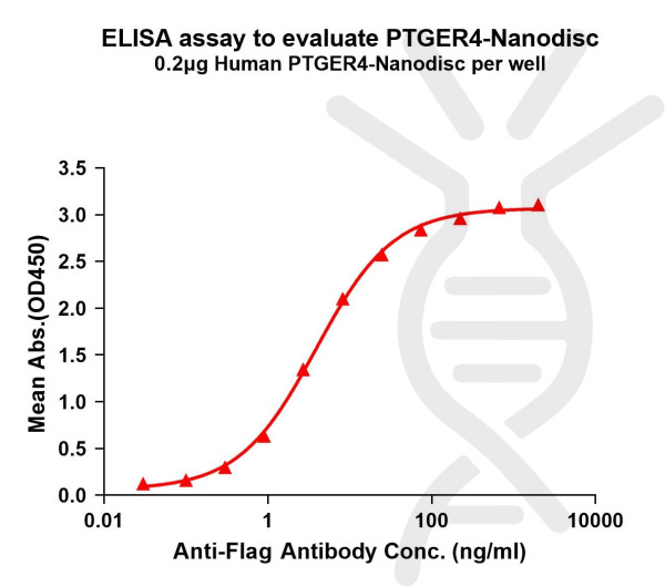 PTGER4 (human) full length protein-synthetic nanodisc
